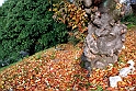 Parco Europa Autunno_078